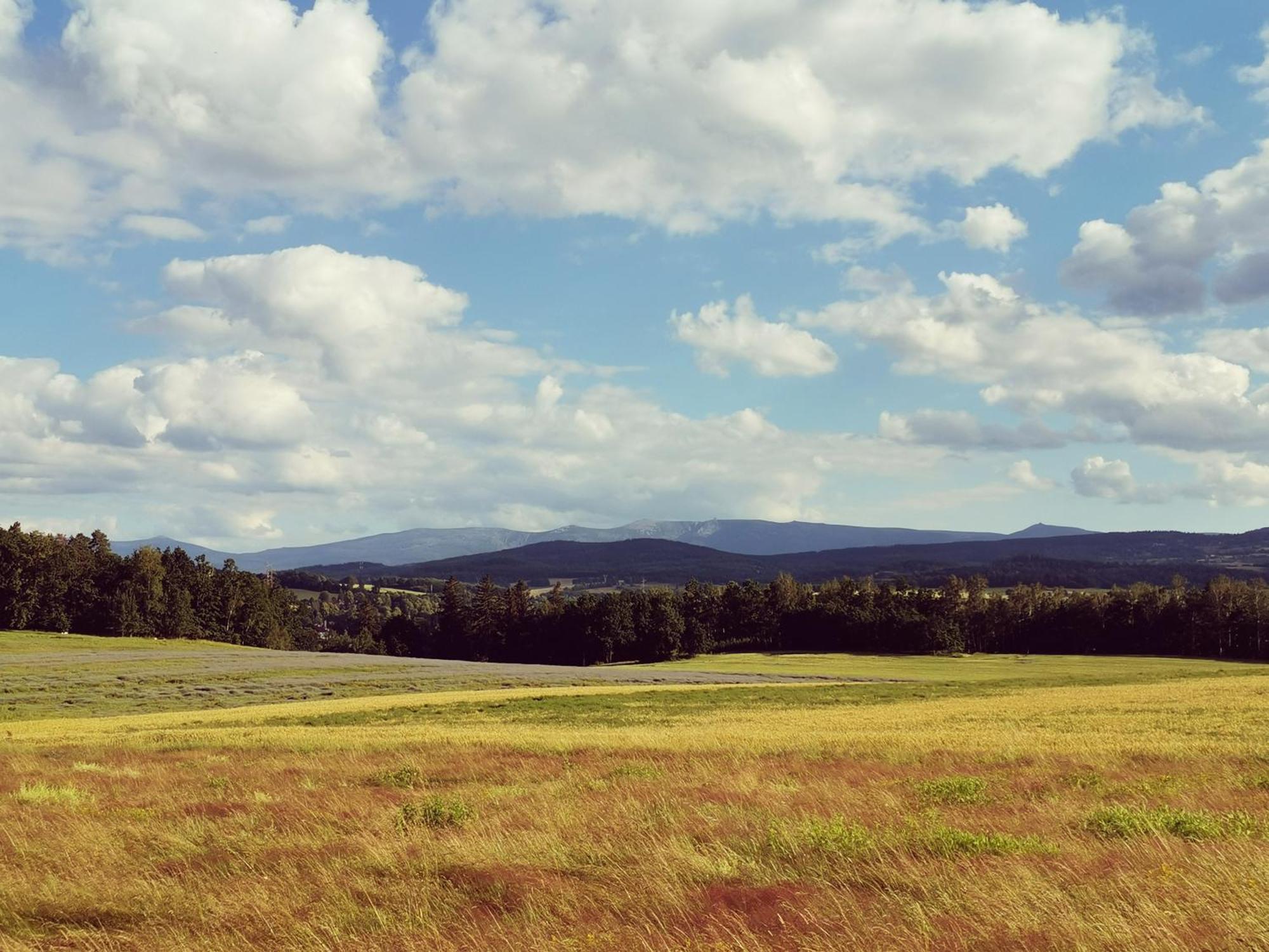 Agroturystyka u Świątków Stara Kamienica Exterior foto