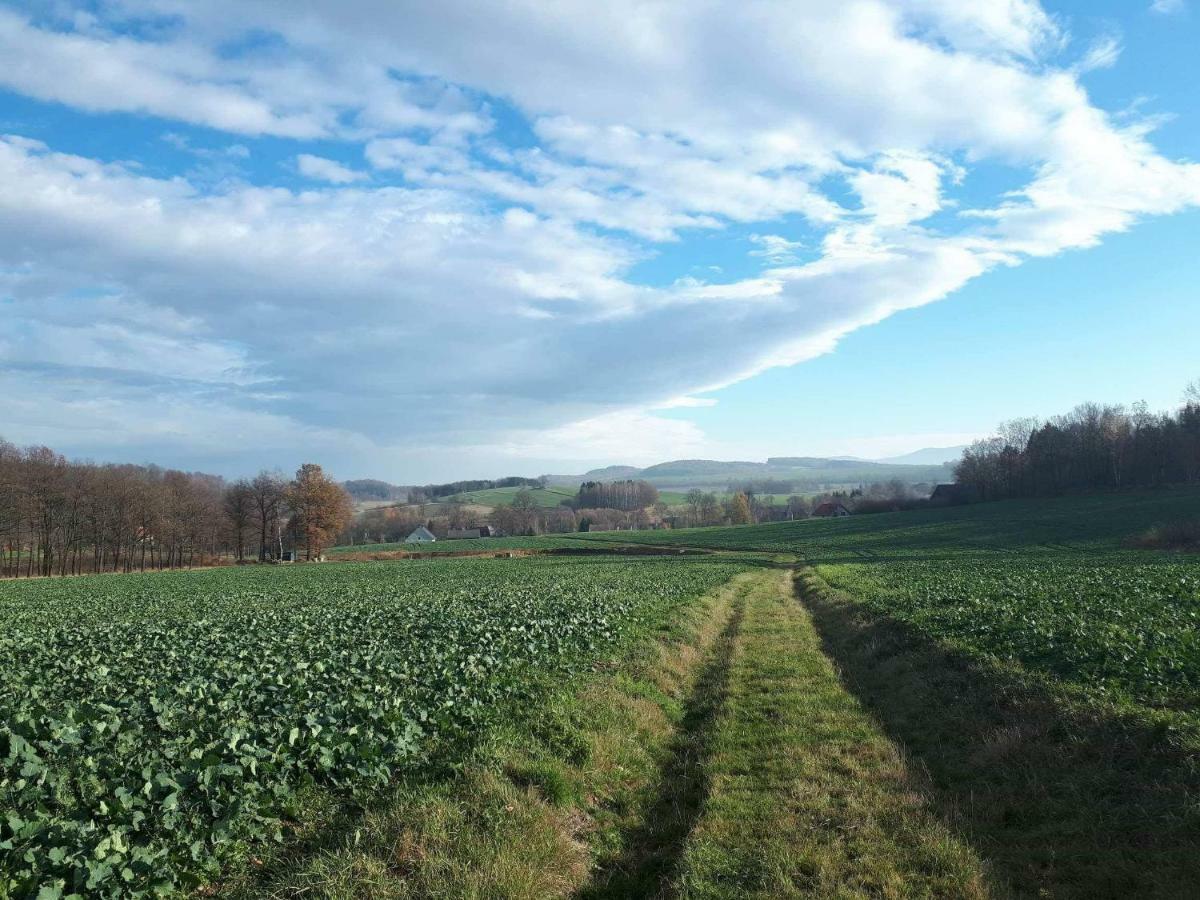 Agroturystyka u Świątków Stara Kamienica Exterior foto
