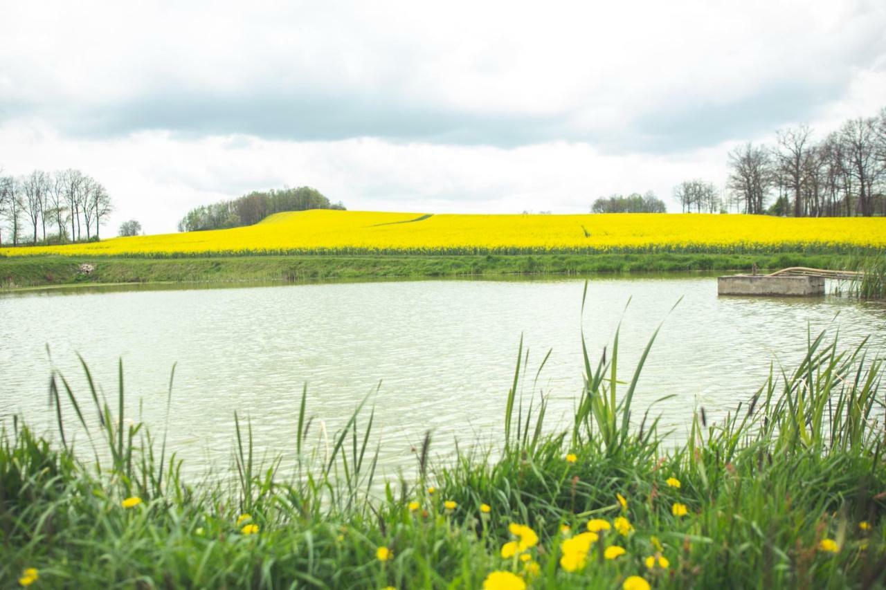 Agroturystyka u Świątków Stara Kamienica Exterior foto